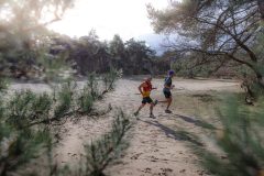 Trailrun-Halve-Zolenlijntje-2026-04-scaled